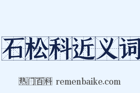 石松科近义词是什么意思的图片